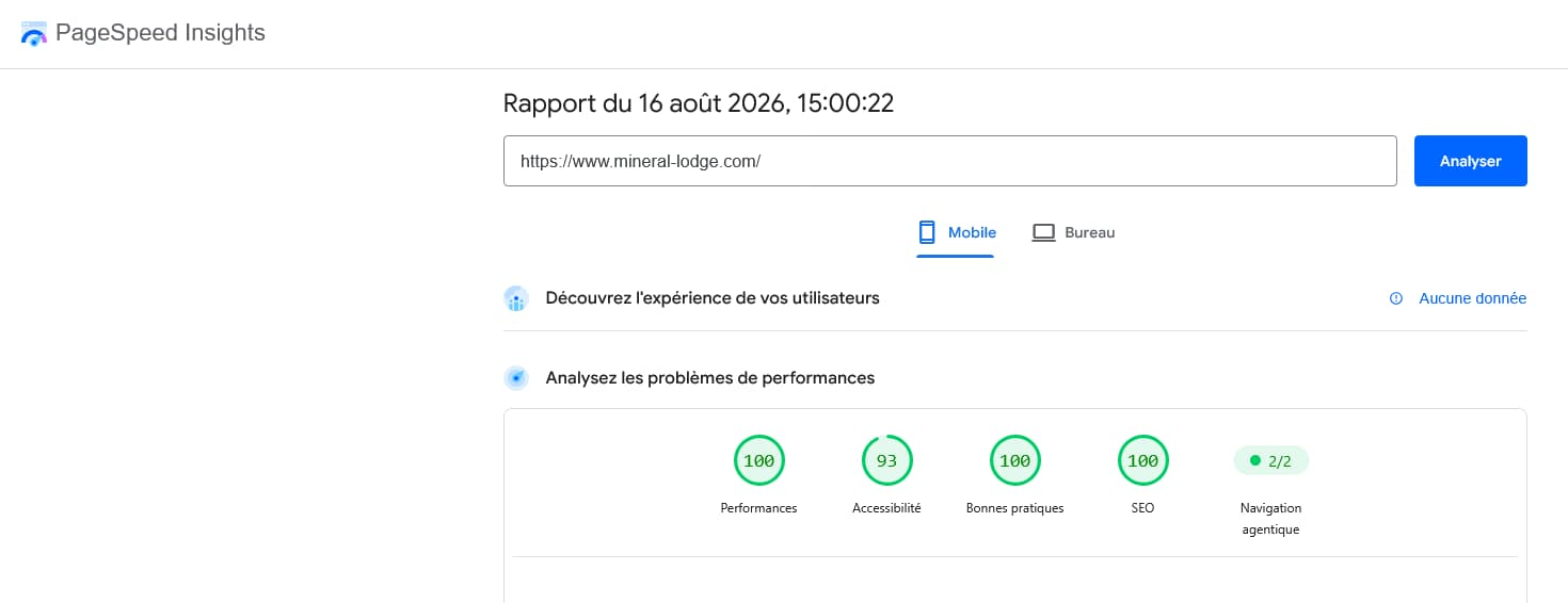 Performances PageSpeed Insights mobile du site Mineral Lodge
