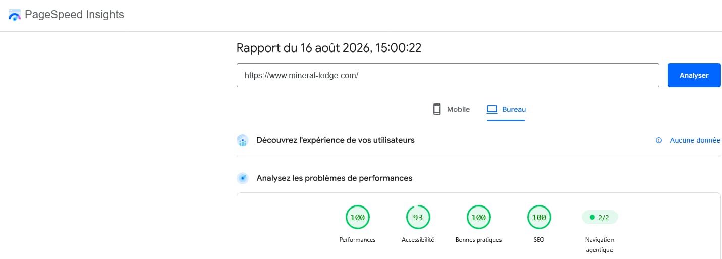 Performances PageSpeed Insights ordinateur du site Mineral Lodge